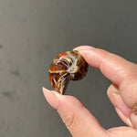 Ammonite/Calcite Fossil - 01