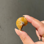 Ammonite/Calcite Fossil - 02