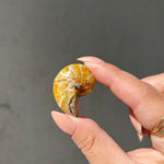 Ammonite/Calcite Fossil - 03