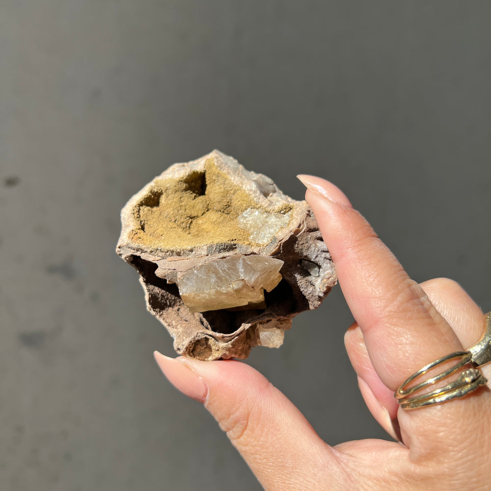 Australian Ammonite/Calcite Fossil - 05