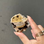 Australian Ammonite/Calcite Fossil - 05