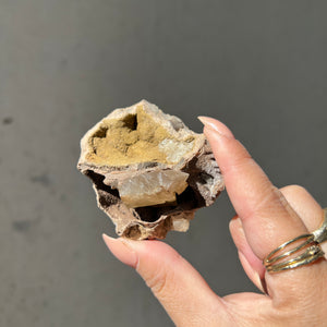 Hand holding an ammonite and calcite fossil against a neutral background