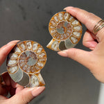 Ammonite Fossil Slice pair - 09