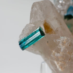 Bi-colour Blue Green Elbaite Tourmaline & Quartz - 05