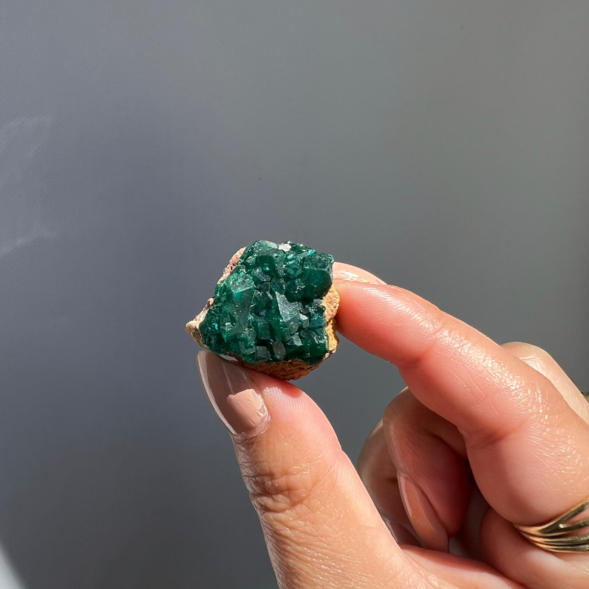 Certified Dioptase Cluster - 01 | ULUNA CRYSTALS & WELLNESS – Uluna