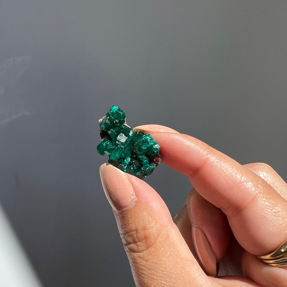 Dioptase Cluster - 02