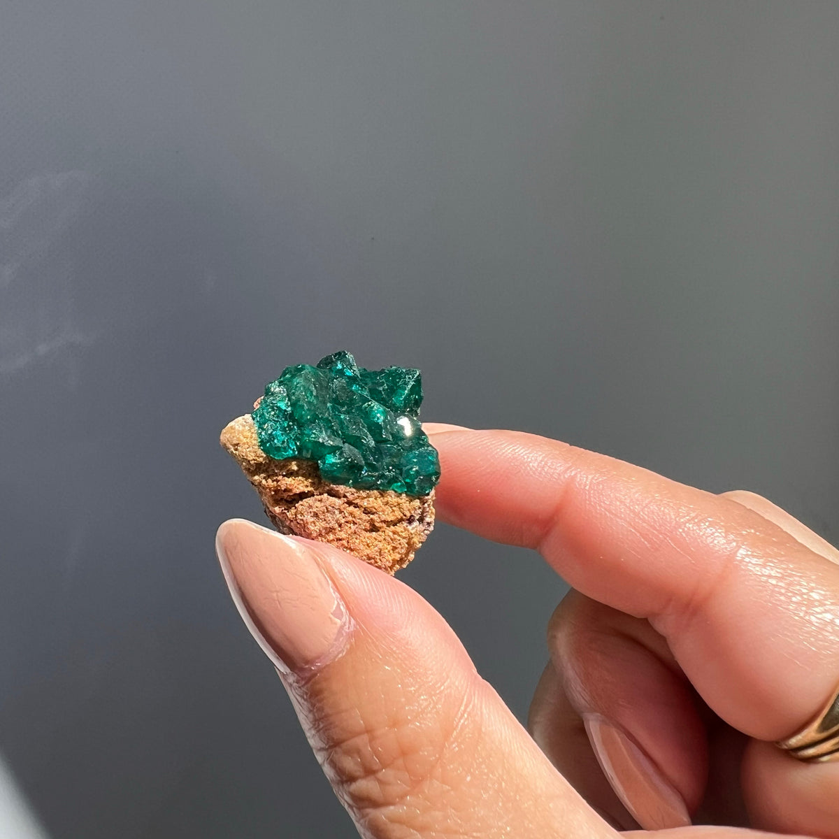Certified Dioptase Cluster - 01 | ULUNA CRYSTALS & WELLNESS – Uluna