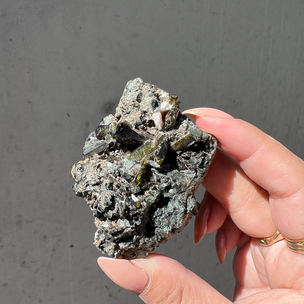 Epidote, Albite & Actriolite - 01