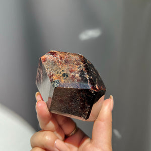 Garnet -01