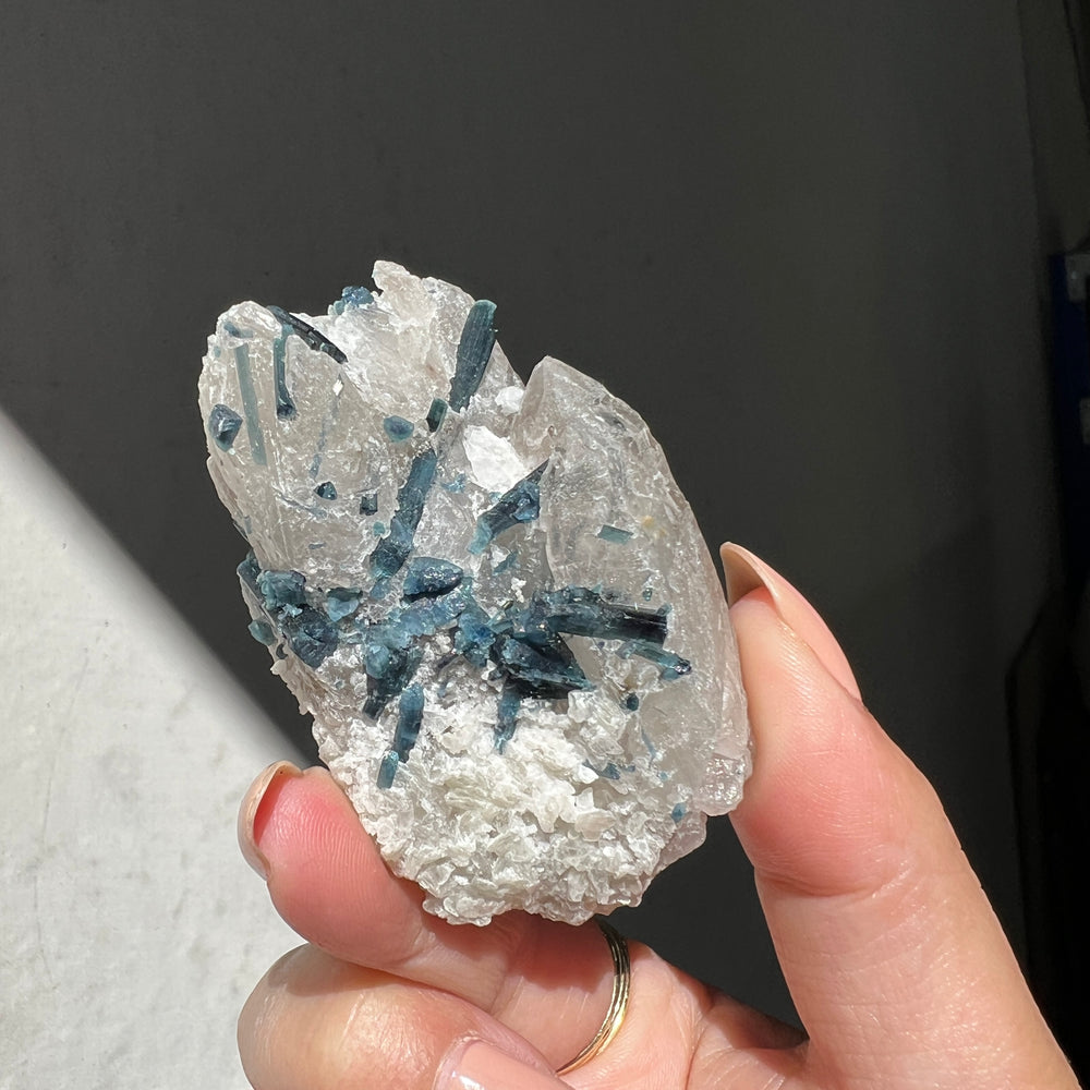 Hand holding a rough indigo tourmaline in quartz against a dark background