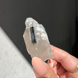 Hand holding a rough indigo tourmaline in quartz against a dark background