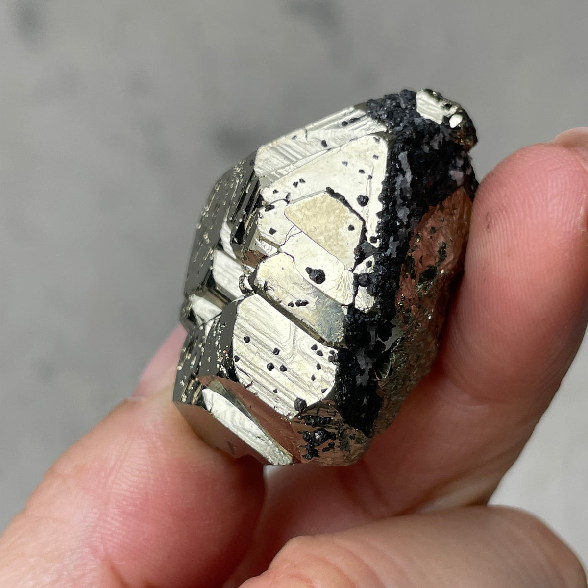 Certified Pyrite Octahedral (A Grade) - 10 | ULUNA CRYSTALS & WELLNESS ...
