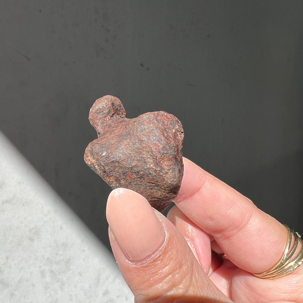 Mundrabilla - Iron Meteorite 09