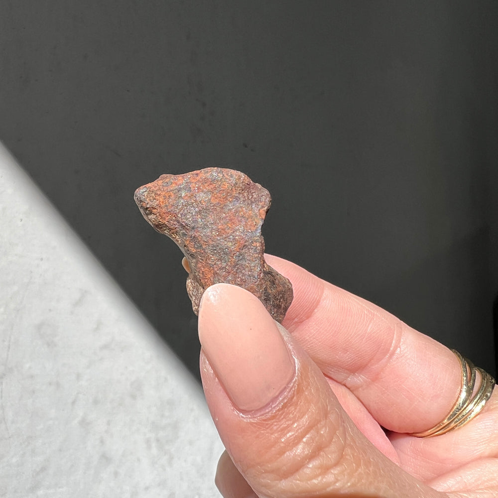 Mundrabilla - Iron Meteorite 08