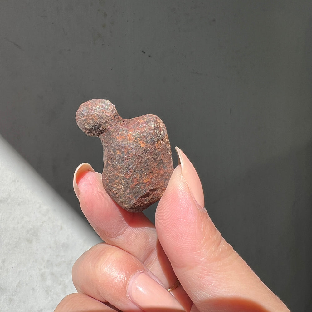 Mundrabilla - Iron Meteorite 09