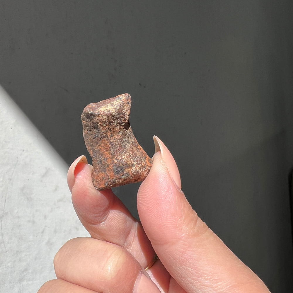 Hand holding an australian mundrabilla meteorite against a dark background