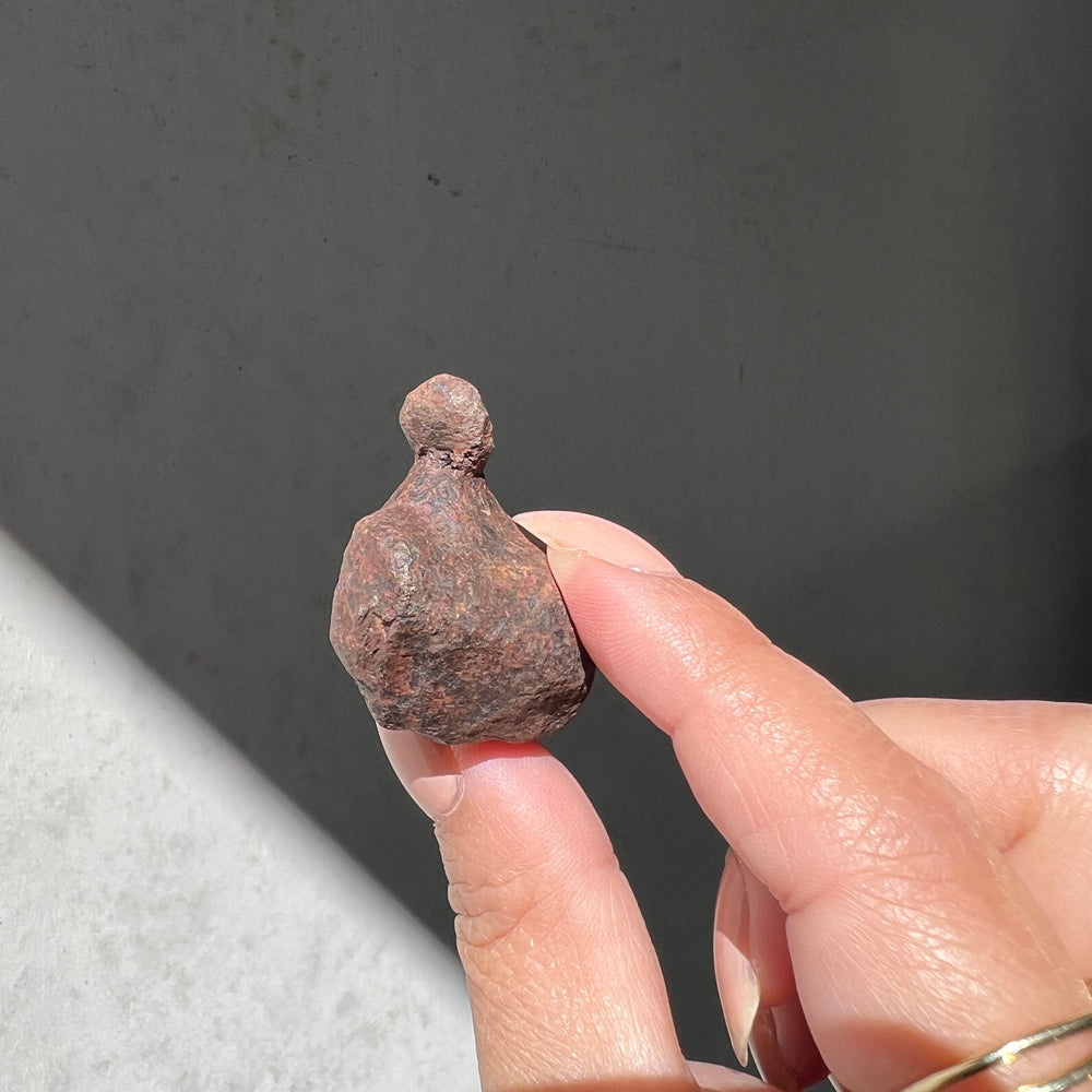 Mundrabilla - Iron Meteorite 09