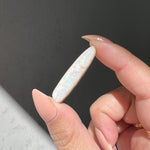 Opalised Belemnite Fossil - 06