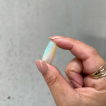 Opalised Fossil - 05