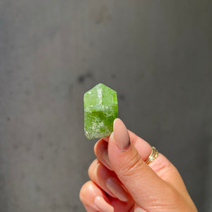 
                
                    Load image into Gallery viewer, Peridot Specimen 7
                
            
