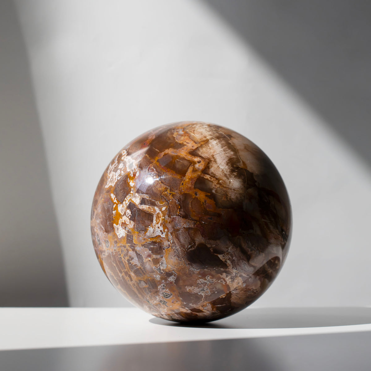 Certified Petrified Monkey Wood Sphere | ULUNA CRYSTALS & WELLNESS – Uluna