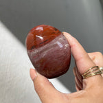 Petrified Wood Freeform - 01