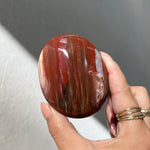 Petrified Wood Freeform - 02