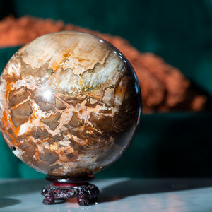Petrified Monkey Wood Sphere