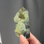 Epidote in Prehnite - 01