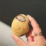 Septarian Palm Stone - 01