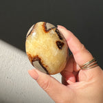 Septarian Palm Stone - 02