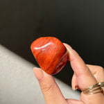 Snakeskin Jasper Freeform - 01