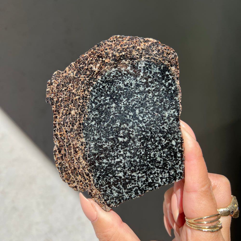 Tranquillitylite Slice - 01