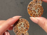 
                
                    Load and play video in Gallery viewer, Ammonite Fossil Slice pair - 07
                
            