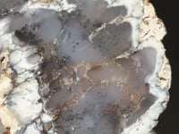 
                
                    Load and play video in Gallery viewer, Dendritic Opal Slice - 01
                
            