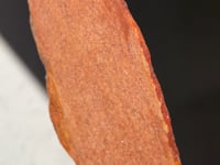 
                
                    Load and play video in Gallery viewer, Jack Hills Zircon Slice - 01
                
            