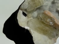
                
                    Load and play video in Gallery viewer, Apophyllite, Chalcedony &amp;amp; Stilbite Cluster - 01
                
            