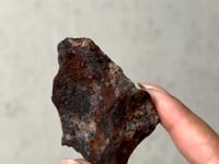 
                
                    Load and play video in Gallery viewer, Huckitta Pallasite - Stony Iron Meteorite 01
                
            