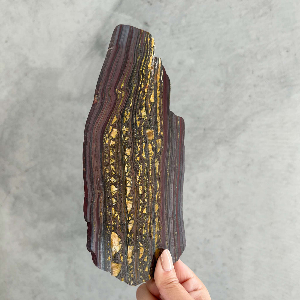 BANDED TIGER IRON SLICE 4