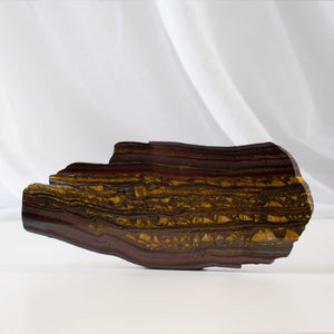 BANDED TIGER IRON SLICE 4