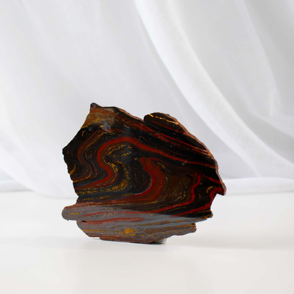 Banded Tiger Iron Slice (Microbialite) - 02