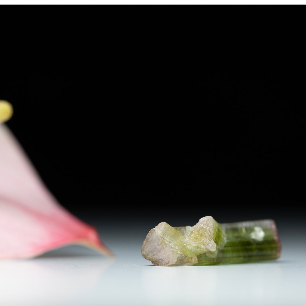 Pink & Green Bi-colour Tourmaline - 15