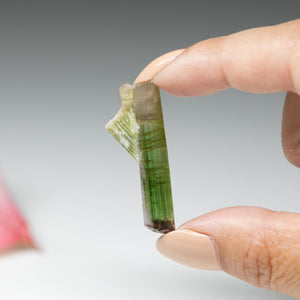 Pink & Green Bi-colour Tourmaline - 15