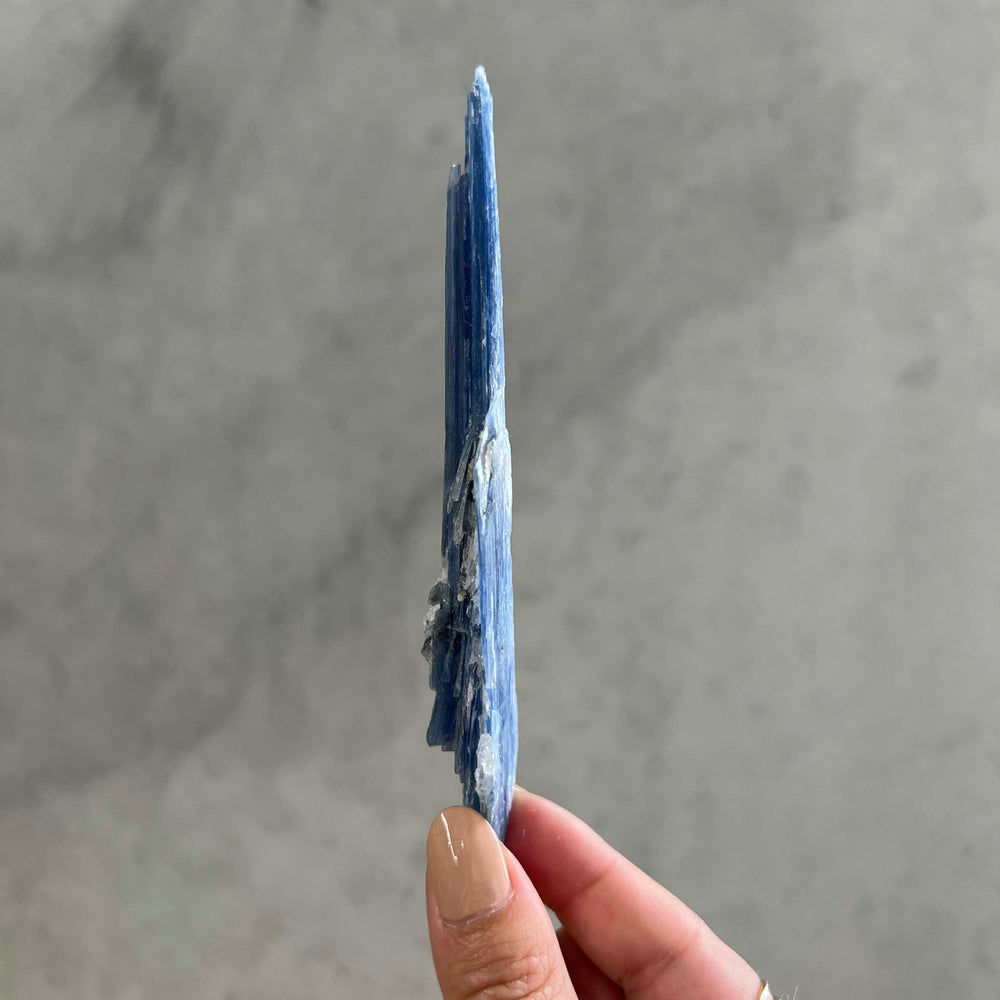 
                
                    Load image into Gallery viewer, Blue Kyanite - 07
                
            