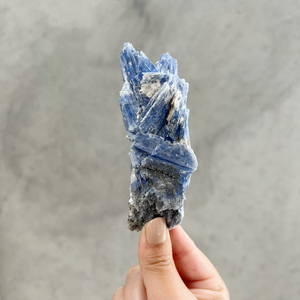 
                
                    Load image into Gallery viewer, Blue Kyanite - 01
                
            