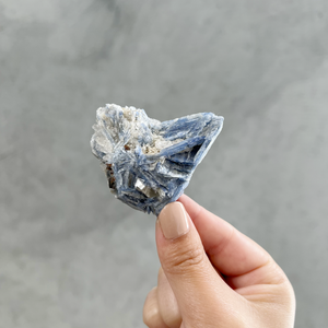 
                
                    Load image into Gallery viewer, Blue Kyanite - 06
                
            