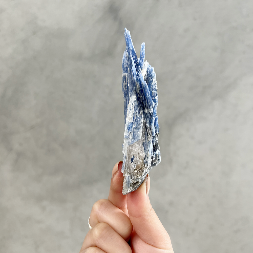 
                
                    Load image into Gallery viewer, Blue Kyanite - 01
                
            