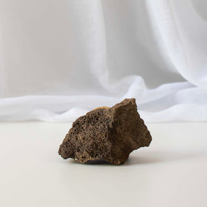 
                
                    Load image into Gallery viewer, Dinosaur Bone Fossil - 02
                
            