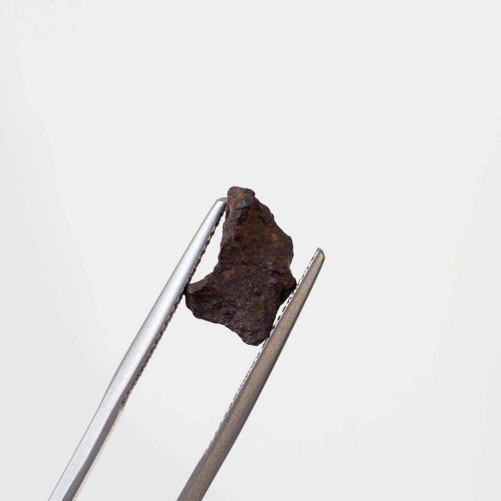 Henbury - Iron Meteorite 01