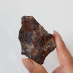 Huckitta Pallasite - Stony Iron Meteorite 01